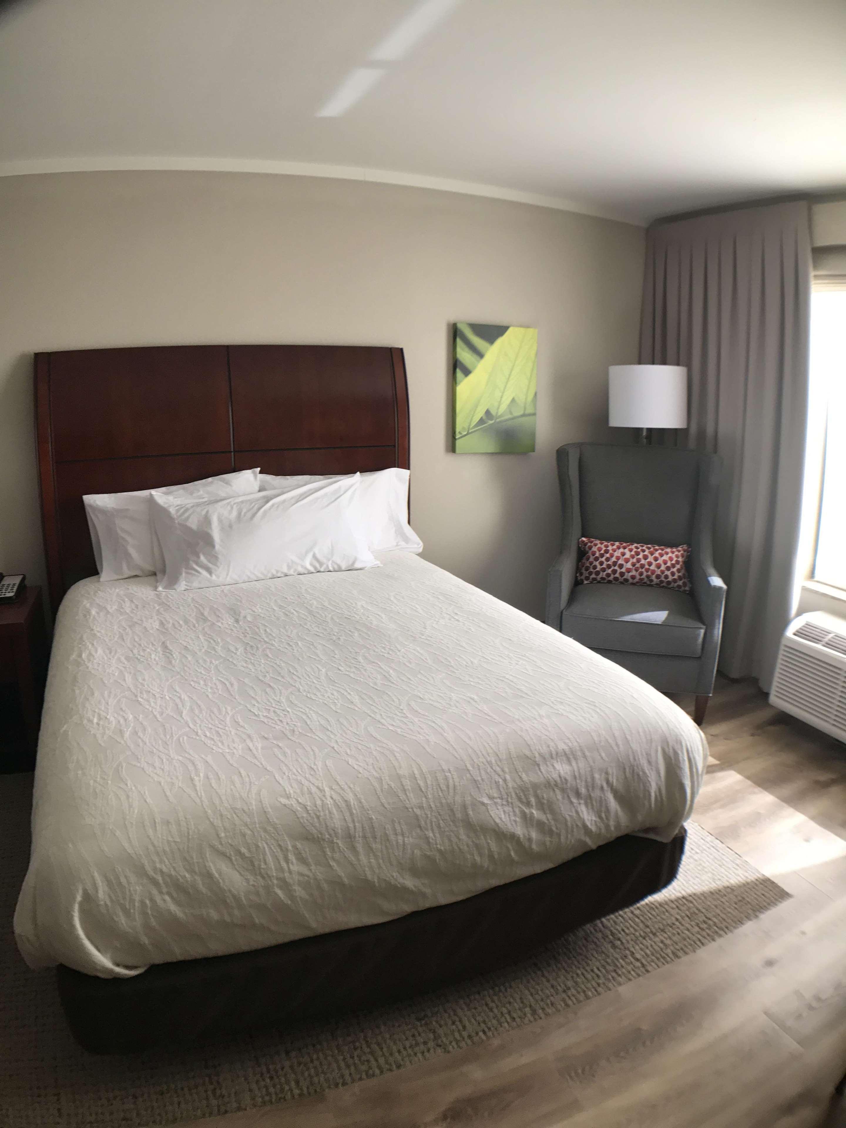 Hilton Garden Inn Bowling Green Buitenkant foto