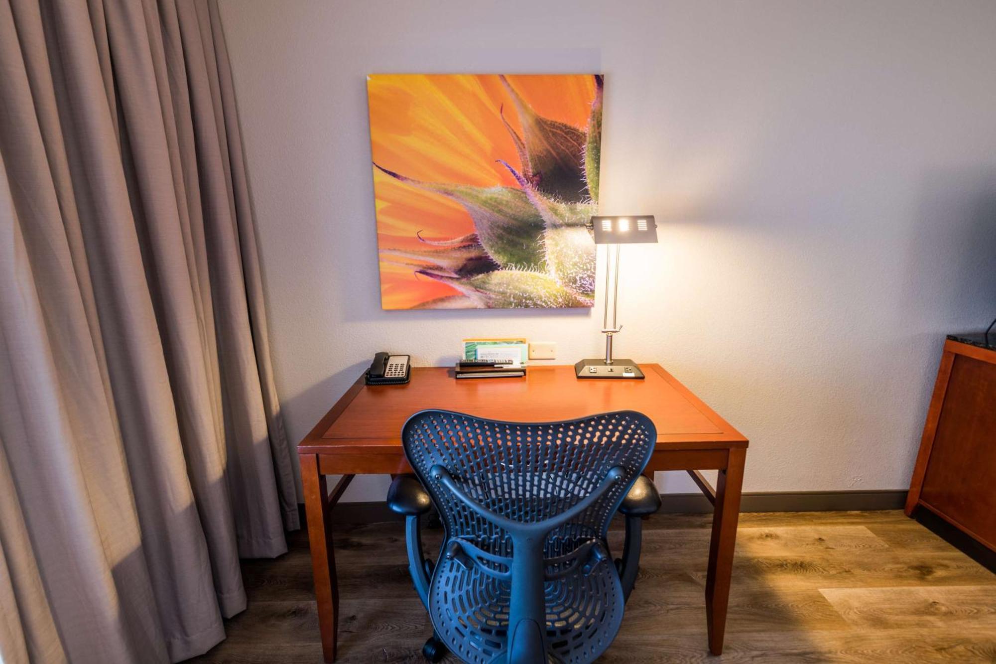 Hilton Garden Inn Bowling Green Buitenkant foto
